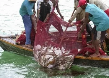 Our Members Are Urinating Blood – Fishermen  Association   