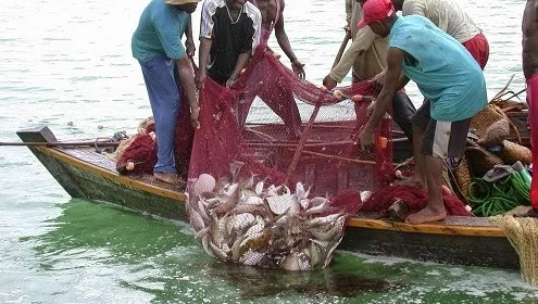 Our Members Are Urinating Blood – Fishermen Association 1 fishing industry jpg