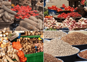 25.3m Nigerians To Face Food, Nutrition Insecurity In 2023