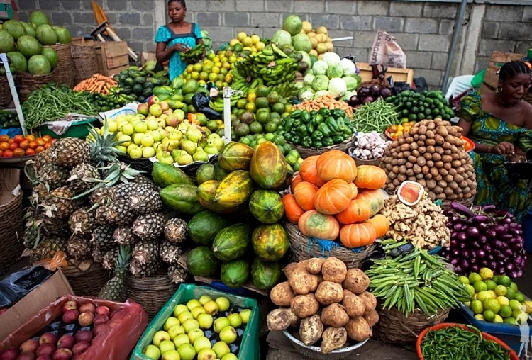 Food Security: We Are ready For Dry Season Farming – Minister 1 food security