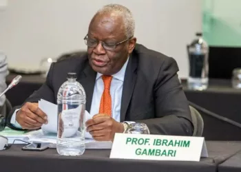 Nigeria Deserves Permanent Seat In UN Security Council – Gambari