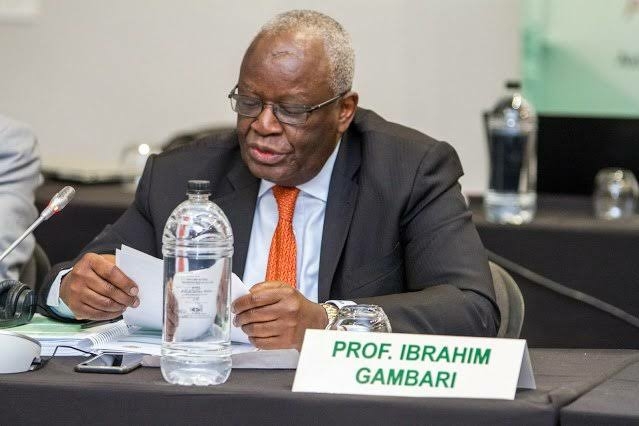 Nigeria Deserves Permanent Seat In UN Security Council - Gambari 1 gambari