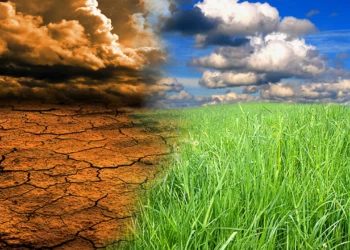 Foundation Intensifies Advocacy  On Climate Change