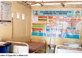 The Many Challenges Of Primary Healthcare Delivery In Bauchi