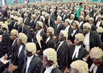 Lawyers Announce New Body To Rival NBA, Founding Secretary Kicks   