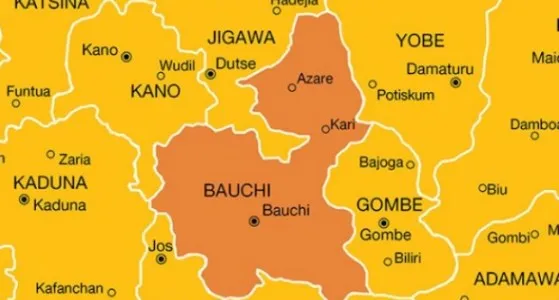 Sayawa Demands Creation Of Zaar Chiefdom In Bauchi 1 map