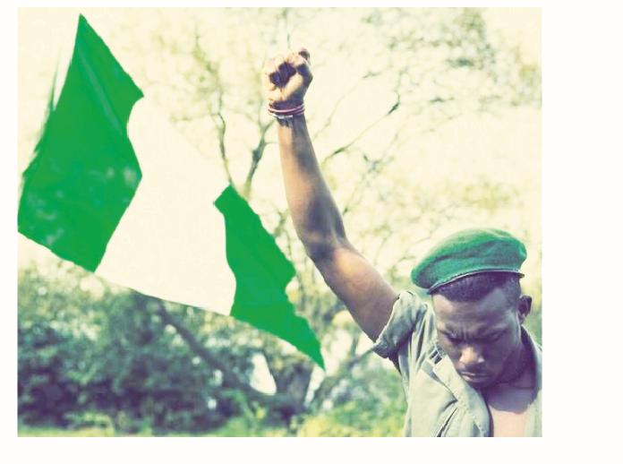 Dictatorship Threatens Our Democracy 1 nigeria flag