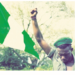 Dictatorship Threatens Our Democracy