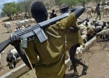 Suspected Herdsmen Kill 3 Farmers In Benue