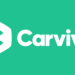 Carviva Creates Digital Platform For Global Auto Spare Parts Sourcing