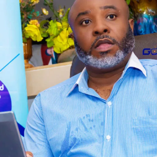 Cashless Policy: Economist Advocates Improved Electricity, Telecoms Services Delivery 1 Chiwuike Uba 2 jpg