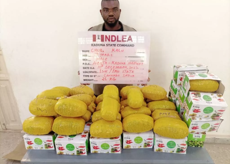 NDLEA Intercepts 1.7m Pills Of Illicit Drugs In Noddles, Others 1 IMG 20221218 WA0021 jpg