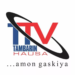 Festivities: Tambari TV Hails Viewers, Customers, Assures Innovative Service Delivery 5 Festivities: Tambari TV Hails Viewers, Customers, Assures Innovative Service Delivery