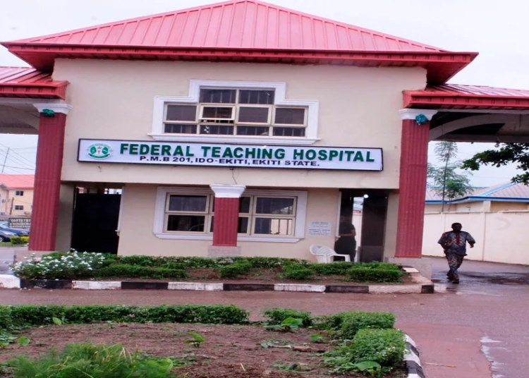 FETHI Nursing School To Award Bachelor Degrees 1 MG 3710 2 jpg