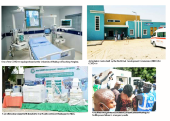 Examining NEDC’s Rescue Mission On Health Centres In Borno