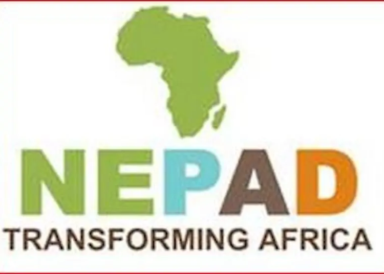 2023: AUDA-NEPAD Tasks Politicians On Violence-free Election 1 NEPAD logo