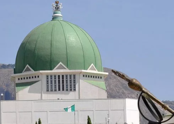 Group Lauds NASS Over Bill To Establish Chemical Technology Institute
