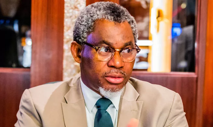 Minister Seeks Professionalism Among Mining Engineers 1 Olamilekan Adegbite jpg