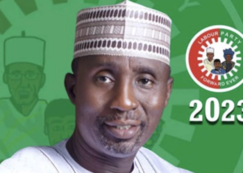 I Will  Fight Insecurity With Technology If Elected–LP Candidate