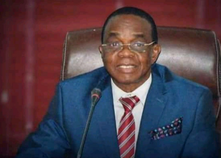 Ohuabunwa Not Working Against Ikonne – PDP Campaign Council 1 Osinbajo 2022 12 07T125840.984
