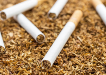 ‘Harm Reduction Viable Complement  To Tobacco Control’