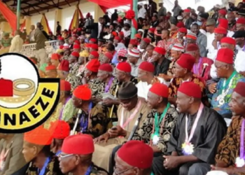 Ohaneze Urges Ndigbo To Vote Where They Registered