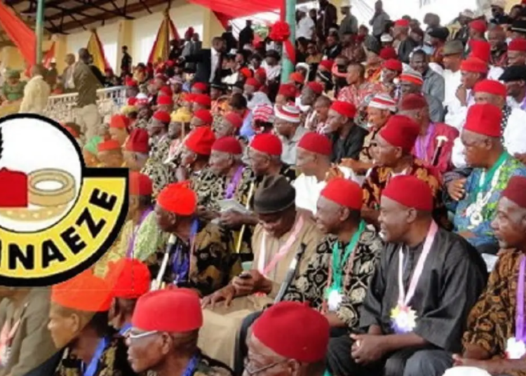 Ohaneze Urges Ndigbo To Vote Where They Registered 1 Osinbajo 2022 12 10T051542.431
