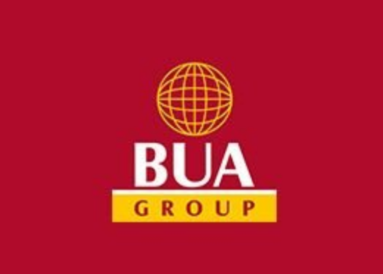 Rabiu, BUA Group Bag Multiple Awards For Contributions To Africa’s Devt 1 Osinbajo 2022 12 10T061130.387