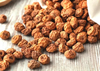 Making Profit From Tiger-Nut Farming