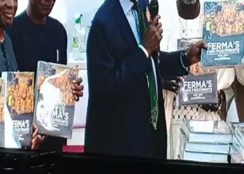 FERMA@20: Federal Govt Urge Citizens To Stop Highways Abuse