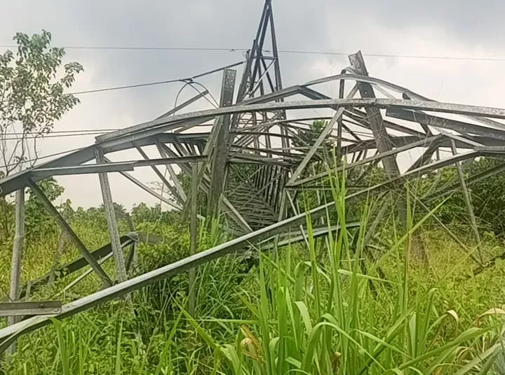 Vandals Destroy 6 Transmission Towers, Kill Vigilante In Rivers 1 WhatsApp Image 2022 12 07 at 15.39.38 jpeg