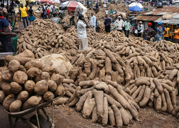 Nigerians May Soon Start Importing Yam From China, Perm Sec Laments 1 Yam 1062x598 1 jpg