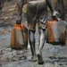 Oil Theft: Niger Delta Stakeholders Drum Support For Ndiomu-led Probe Panel