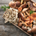 MAKING IT, SPENDING IT: MAKE OR MAR MONEY CHOICES - Making Profit From Mushroom Farming 5 MAKING IT, SPENDING IT: MAKE OR MAR MONEY CHOICES – Making Profit From Mushroom Farming