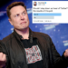 Twitter Users Vote For Elon Musk’s Resignation 5 Twitter Users Vote For Elon Musk’s Resignation