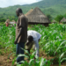 Farmers, Experts Brainstorm On Climate Change In Kaduna