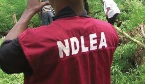 NDLEA Arrests Brazil Returnee, Others With Cocaine At Lagos Airport 1 images 2022 12 11T172123.912 jpeg