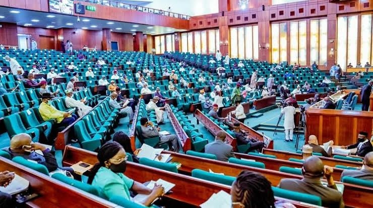 BREAKING: House Of Reps To Probe Murder Of Lagos Lawyer 1 images 2022 12 28T141211.673