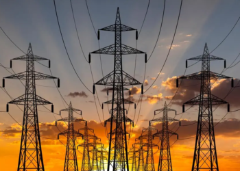 Nigeria, Egypt Agree On Joint Electricity Devt