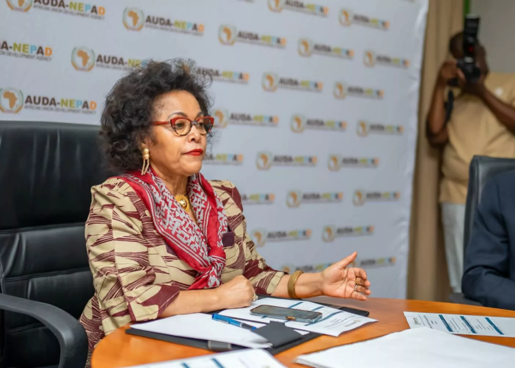 AUDA-NEPAD Wants Retired, Serving Security Officers Celebrated 1 42491 MicrosoftTeams image 192 jpeg