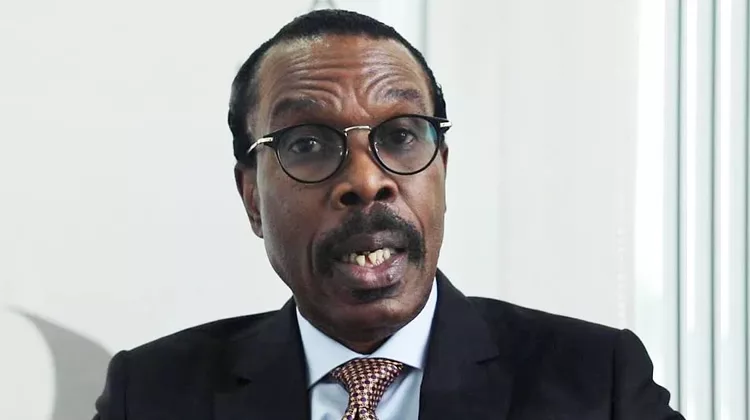 ‘Nigeria To Face Economic Slowdown, Not Recession This Year’ 1 Bismarck Rewane jpg