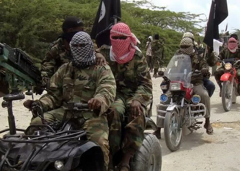 Boko Haram Kills Over 300 Members Planning To Surrender – Borno Govt