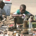 Ending The Scourge Of Cholera