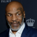 Woman Sues Mike Tyson $5m, Says He Raped Her In 1990s