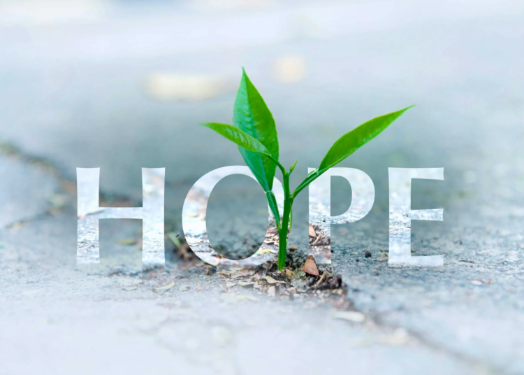 We Need Broadminded Leaders 1 Hope Theme web scaled 1 jpg