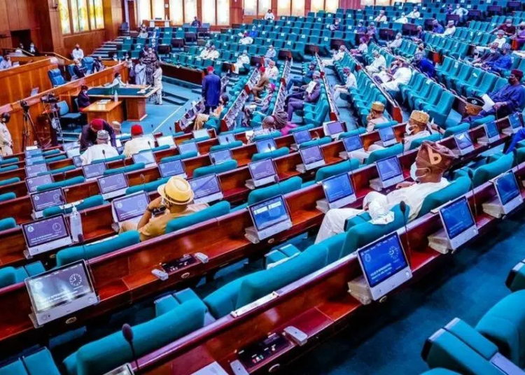 Fuel Scarcity: Expose Economic Saboteurs, Reps Tell Security Agencies 1 House of Reps edited