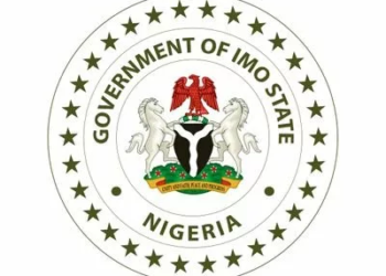 We Are Not Responsible For Your Ordeal, Imo Govt Tells Ugochinyere