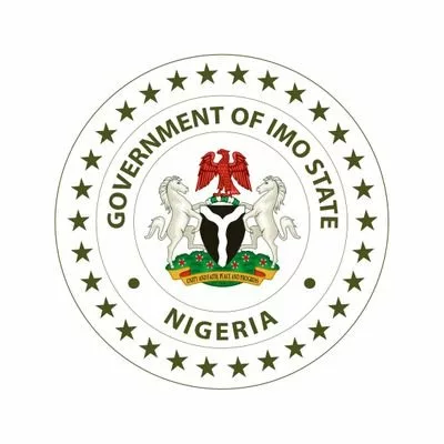We Are Not Responsible For Your Ordeal, Imo Govt Tells Ugochinyere 1 I87xNK W 400x400 jpg