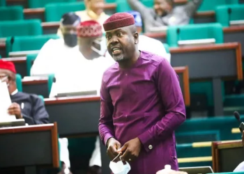 Ilaje/Ese-Odo 2023: Reps Seat Is Ilaje Entitlement, Akinjo Claims