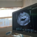 Tennis Star, Naomi Osaka, Announces Pregnancy, Plans Return In 2024